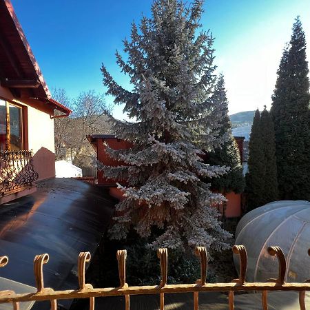 Anadi Hotel Boutique Only Adult Brasov Luaran gambar