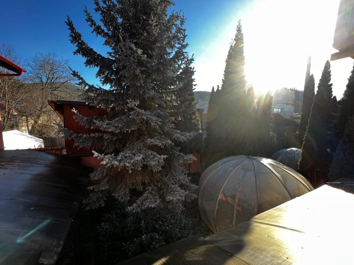 Anadi Hotel Boutique Only Adult Brasov Luaran gambar